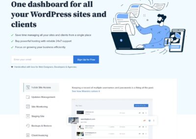 Bluehost - Ease of Use