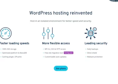 Ionos - WordPress Hosting