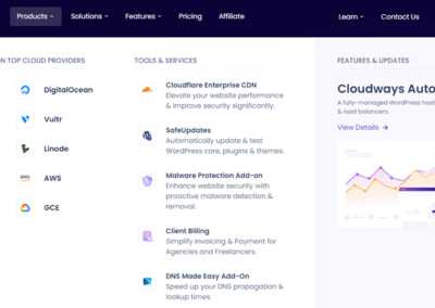 Cloudways Screen Shot 2