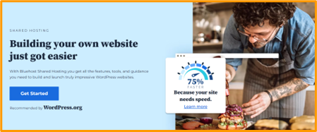 bluehost-quick-info bluehost home screen